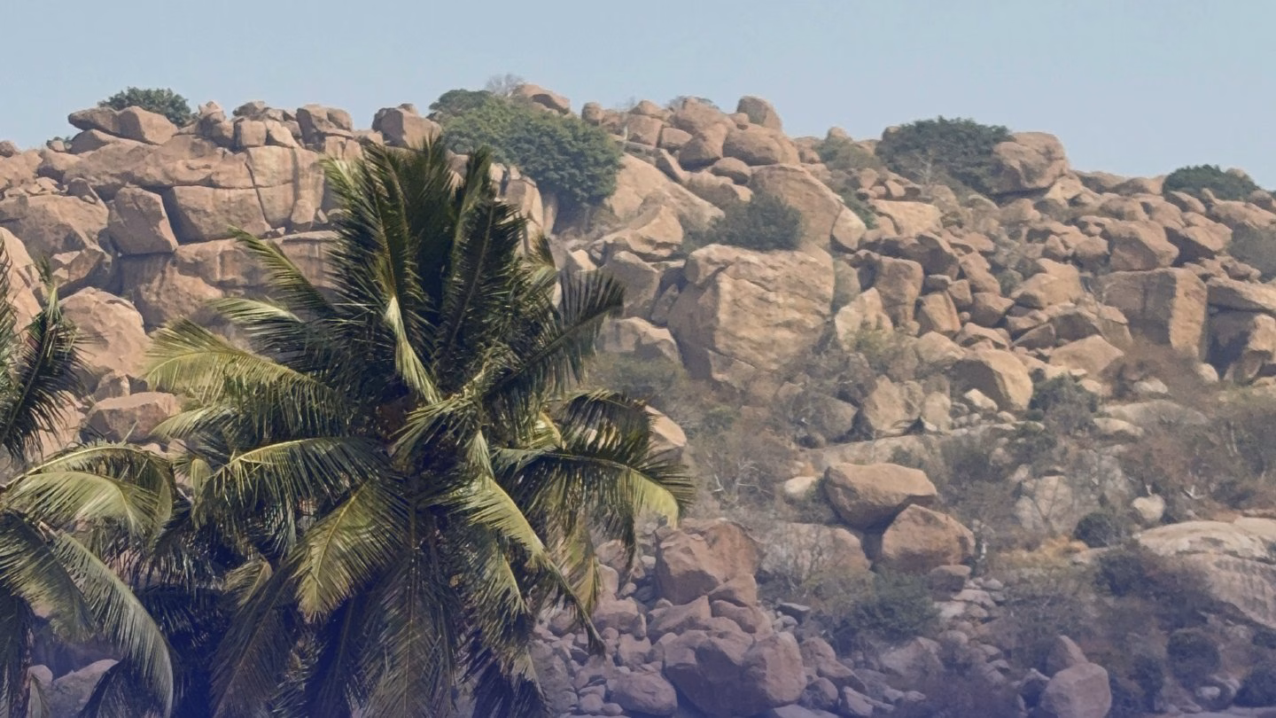 Granite boulders piled across a hillside in Hampi, with a coconut palm in front.